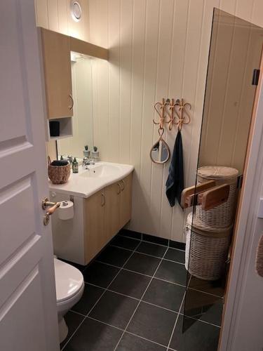 a bathroom with a white sink and a toilet at Cozy apartement near Besseggen with a nice outdoor area! in Randsverk