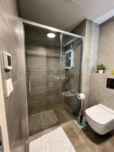 a bathroom with a shower and a toilet at Hillside Y34 in Dolný Kubín