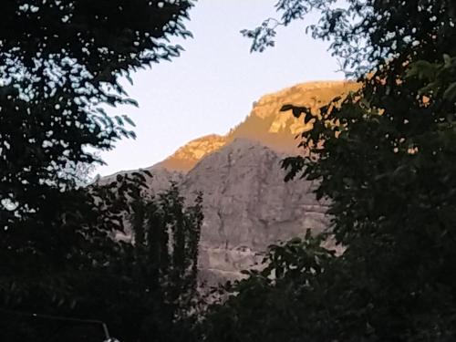 a mountain in the distance with trees in front of it at Vardzia Old Village in Vardzia