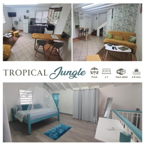 Duplex Tropical Jungle