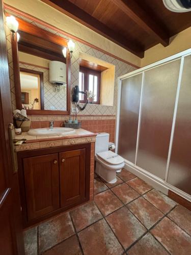 a bathroom with a toilet and a sink and a shower at Casa Rural Casa Carlos in Isora