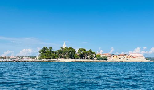 Gallery image of Valdora luxury villa with pool in Novigrad Istria