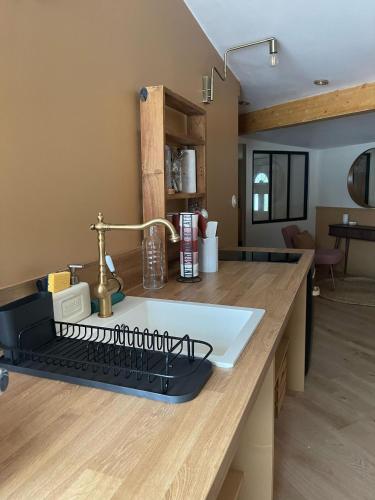 - une cuisine avec un plan de travail, un évier et un comptoir dans l'établissement Studio Cosy, à Castanet-Tolosan