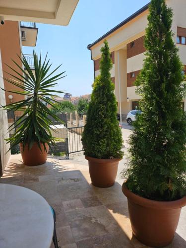 Gallery image of Spa Apartments Tivat in Tivat