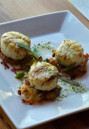 a white plate of food with scallops on it at Pebble Bay Club Suites in Camdenton