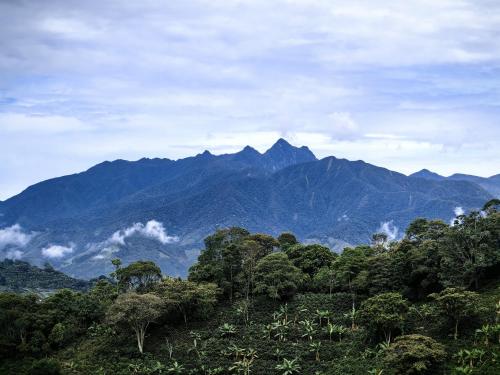 a mountain range with trees and mountains in the background at Hotel Colonial in Jardin