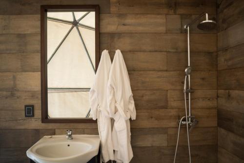a bathroom with a sink and a mirror at Bodega Alpasión Lodge y Glamping in Tunuyán