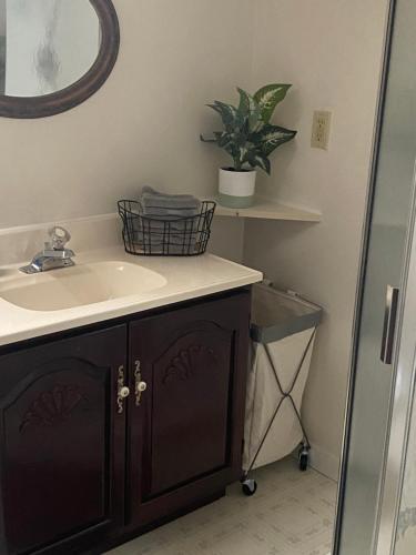 a bathroom with a sink and a potted plant at Apartamento en Milwaukee cerca del centro 8 mins from Milwaukee downtown in Milwaukee