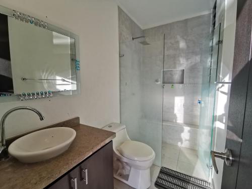 a bathroom with a toilet and a sink and a shower at Casa condominio santa ana in Flandes