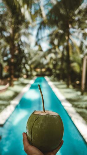 Kolam renang di atau dekat dengan Ecolodge Spa Beira Mar Ococoloco
