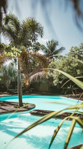 Kolam renang di atau dekat dengan Ecolodge Spa Beira Mar Ococoloco