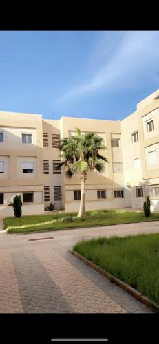 a palm tree in front of a building at Appart cosy 5 min plage in Gaams