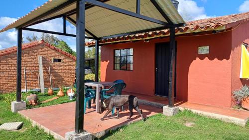 a dog standing on a patio outside of a house at Cabañas rurales Mano de Oso Guasca in Guasca