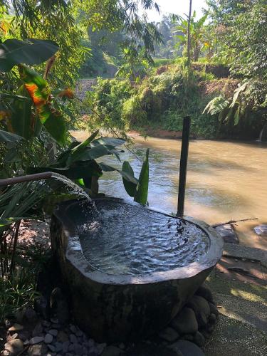 Landskap semula jadi dekat dengan vila ini