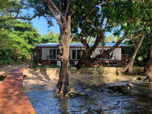 a house with a tree next to a body of water at Turtle Bay Beach House in Saraotou