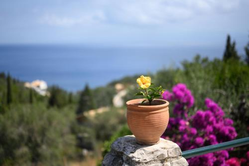 Φωτογραφία από το άλμπουμ του Villa Estia σε Ιερομόναχος