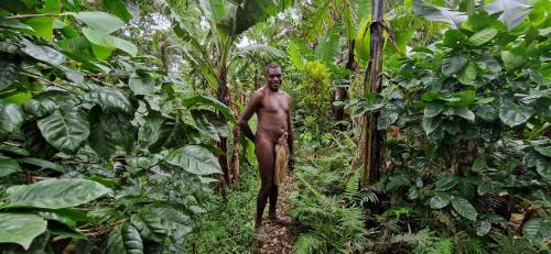 a shirtless man walking through a forest at Tanna Lava View Bungalows in Lénakel