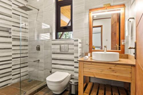 a bathroom with a toilet and a sink and a shower at Kirimara Woodlands, Nanyuki in Nanyuki
