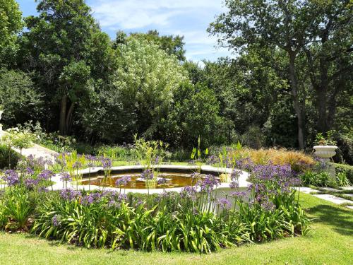 a pond in a garden with purple flowers at Constantia Klein in Cape Town