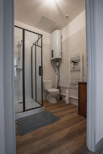 une salle de bain avec douche et toilettes dans l'établissement Le balcon du roi René, à Avignon