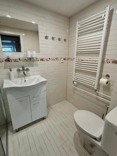 a white bathroom with a toilet and a sink at Apartmán Vendy in Karlovy Vary