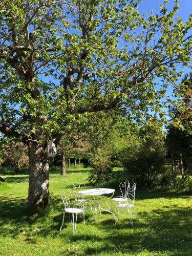 Κήπος έξω από το Caravane années 80 dans la verdure au Domaine des Oiseaux