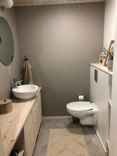 a bathroom with a white toilet and a sink at Lomahuvila Liljevikin Lahti in Orivesi