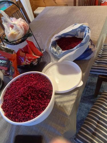a table with two bowls of cranberries on it at Mitt paradis in Bardufoss