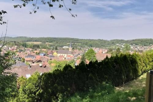 a view of a town from a hill with houses at Gîte Guldangel in Hirsingue