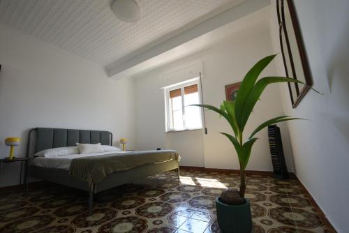 a bedroom with a bed and a potted plant at AR apartments in Lamezia Terme