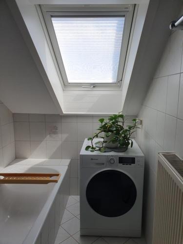 a washing machine in a bathroom with a window at Privatzimmer mit Balkon im schönen Allgäu in Stetten