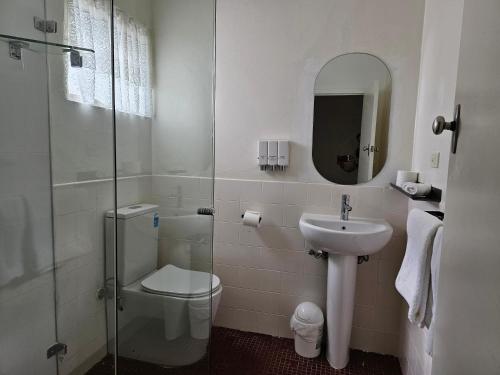a bathroom with a toilet and a sink and a shower at Country Lodge Motor Inn in Bathurst
