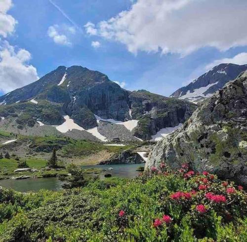 Elle offre une vue sur la montagne, la rivière et les fleurs. dans l'établissement Studio au pied des pistes, à La Morte