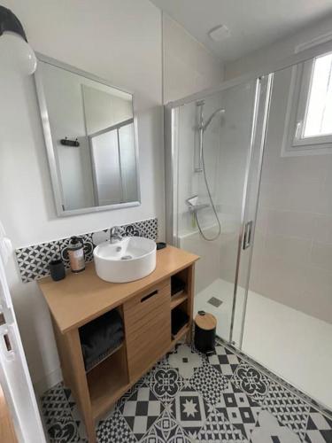 une salle de bain avec un lavabo et une douche dans l'établissement La Dubonnette, à La Ferté-Saint-Aubin
