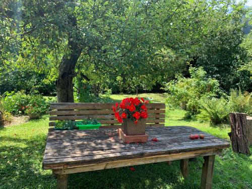 Bio Appartement Pichler