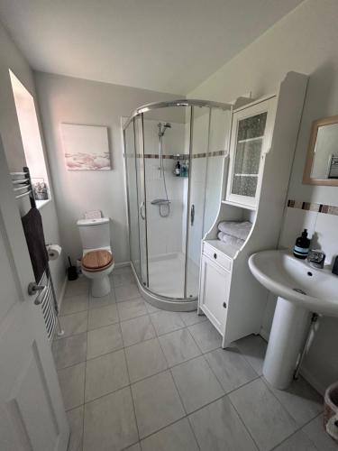 a bathroom with a shower and a toilet and a sink at Hamble House Holiday Let in Woodbridge