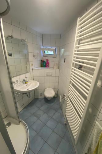 a small bathroom with a toilet and a sink at Bootshaus am Inselseekanal in Güstrow