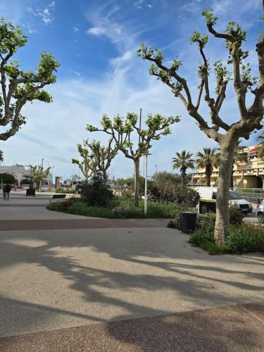 Charmant Studio au Cœur de La Grande Motte, à 2 min de la Plage