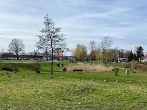 a park with a tree and a bench in a field at Pension 28 - Zimmer 1-3 in Velgast