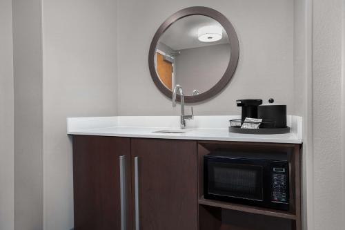 a bathroom with a sink and a mirror and a microwave at Hampton Inn & Suites Atlanta-Six Flags in Lithia Springs