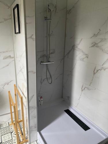 a shower in a bathroom with white marble at L’hirondelle du Faubourg in Saudemont