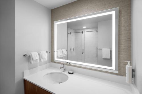 a bathroom with a sink and a large mirror at Embassy Suites By Hilton Madison Downtown in Madison