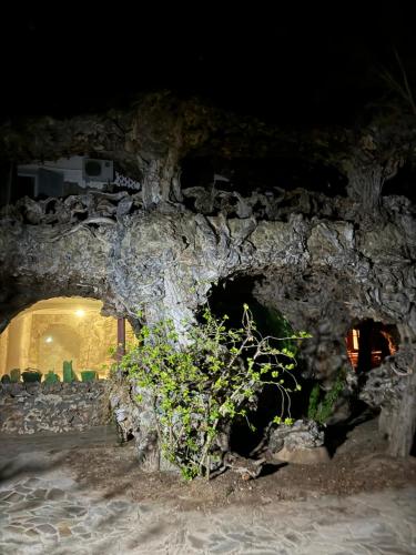 a stone wall with a bush in front of a building at Rooms the other side of the island by Patitiri in Saterlí