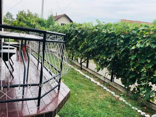 Κήπος έξω από το Apartma Laganini