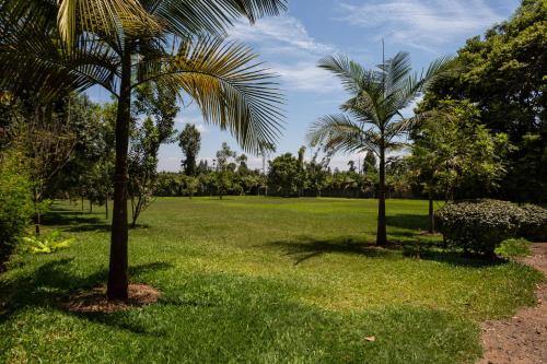Jardín al aire libre en Roswam Hotel