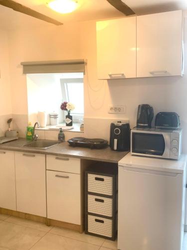 a kitchen with a sink and a microwave at Studio Apartment Oscar in Opatija