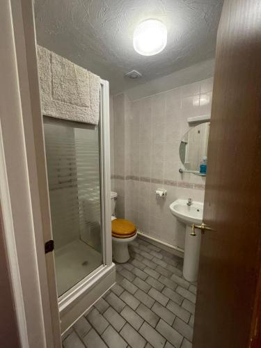 a bathroom with a shower and a toilet and a sink at The Prince of Wales in Huntingdon