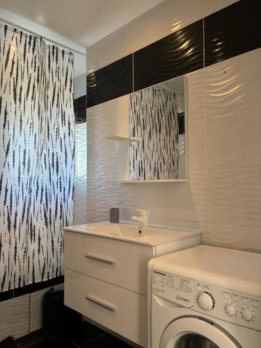 une salle de bain avec une machine à laver et un lavabo dans l'établissement La maison des Oliviers, 5min du ZooParc de Beauval, à Saint-Aignan