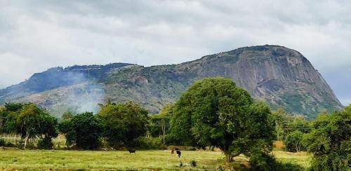 Un paisaje natural cerca of the bed and breakfast