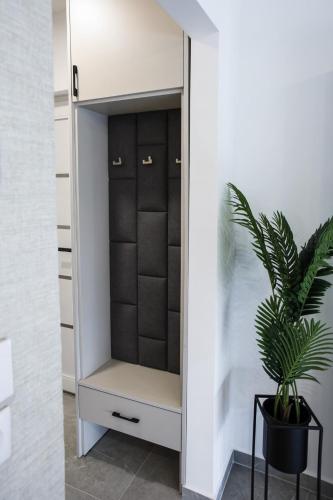 a closet in a room with a potted plant at Drill Residence Apartments in Kisvárda